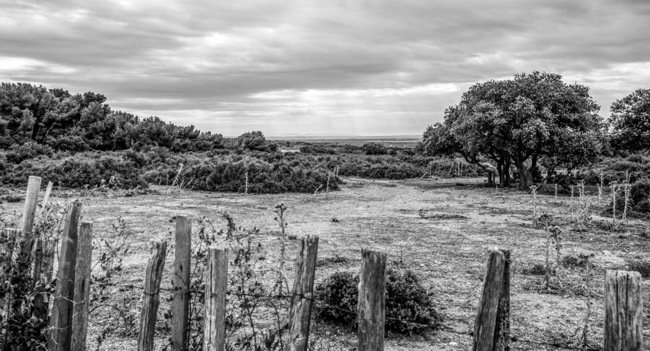 provence_03